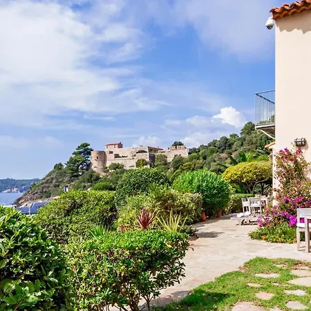 فيلة Port-cros
